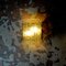 Lampada da parete Vesta in cristallo grezzo graffiato con supporto in acciaio inossidabile satinato di Albano Poli per Poliarte, Immagine 7