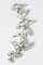 Silver Amoeba Bracelet by Henning Koppel for Georg Jensen 11
