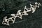 Silver Amoeba Bracelet by Henning Koppel for Georg Jensen, Image 3