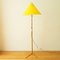 Wiener Stehlampe mit Messing Krähenfuß & verstellbarem Lampenschirm von Rupert Nikoll 3