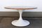 Table Basse Mid-Century Moderne avec Socle Tulipe en Marbre par Honsel Germany, 1960s 7