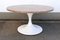 Table Basse Mid-Century Moderne avec Socle Tulipe en Marbre par Honsel Germany, 1960s 11