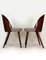 Dining Chairs by Antonin Suman for Mier, 1960s, Set of 2 3