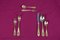 24-Carat 11-Person Flatware Cutlery Set from Solingen Nivella 10