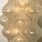 Large Tulipan Sconces by J.T. Kalmar, 1960s 3