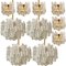 Ice Glass Light Fixtures from J.T. Kalmar for Cor, Set of 10, Image 14