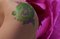 Tinta botánica (The Tattoo), 2015, Imagen 1