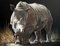 Rinoceronte, 2017, Imagen 1