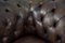 Large Antique Brown Leather Chesterfield Sofa, 1920s, Image 11