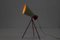 Desk Lamp by Josef Hurka, Czechoslovakia, 1960s, Image 4