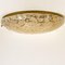 Wandlampe aus Messing und geblasenem Muranoglas von Hillebrand, 1960er 3