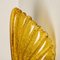 Murano Hand Blown Amber/Ocher Glass Seashell Sconces, Italy, 1960s, Set of 2 6