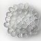 Crystal Musling Shell Glass Bowl by Per Lutken for Royal Copenhagen, Denmark 4