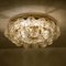 Large Light Fixture in Glass, Brass and Nickel from Doria Leuchten, 1960s, Image 5