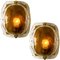 Brass and Brown Glass Hand Blown Murano Glass Wall Lights by J. Kalmar From Isa, Set of 2 3