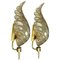Large Wall Sconces in Gold and Murano Glass from Barovier & Toso, Italy, 1960s, Set of 2 1