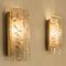 Large Quantity of Structured Blown Glass and Brass Wall Sconces from Doria Leuchten, 1960s 9