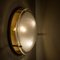 Brass and Blown Murano Glass Wall Light or Flush Mount, 1960s 9