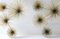 Curtis Jere Brass Pom Pom or Urchin Wall Sculpture 4