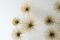 Curtis Jere Brass Pom Pom or Urchin Wall Sculpture 3