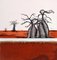 Michele Magnien (Mileg), arcilla roja Baobab 1-2, 2016, Imagen 1