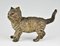 Antique Vienna Bronze Sculpture of a Cat from Bergman, 1900s, Image 3