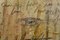 Massimo D'Orta, Papiro nr. 1, Tecnica mista su tela, Immagine 6