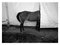 Impresión de caballo en blanco y negro de Gosha Pavlenko, siglo XXI, Imagen 1