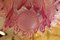 Lampadario a forma di palmette rosa di Barovier & Toso, Immagine 27