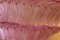 Pinke Palmette Kronleuchter von Barovier & Toso 7