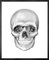 Da Vinci Skull, Gerahmte Medium Bedruckte Leinwand von Mineheart 1