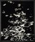 Moonlight Sonata 6, lienzo impreso mediano enmarcado de Mineheart, Imagen 2