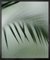 Palm Etch 4, lienzo impreso mediano enmarcado de Mineheart, Imagen 1