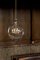 Gold King Edison Grande Pendant Lamp from Mineheart 1