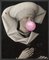 Grand Portrait Bubblegum - 2 Toiles Imprimées de Mineheart 1