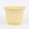 Cache-Pot Jaune de Wedgwood 1