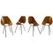 Medea Chairs by Vittorio Nobili for Fratelli Tagliabue, Set of 4 1
