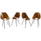 Medea Chairs by Vittorio Nobili for Fratelli Tagliabue, Set of 4, Image 1