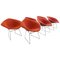 Diamond Chair by Harry Bertoia for Knoll International 1