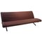 D70 Daybed Sofa by Osvaldo Borsani for Tecno, Image 1