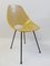 Medea Dining Chairs in Ash by Vittorio Nobili for Tagliabue, 1950s, Set of 10, Image 3