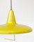 Height Adjustable Pendant Lamp with Counter Weight 4