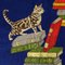 Plaid Cats on Books by Piero Fornasetti 5