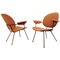 302 Armchairs by Willem Hendrik Gispen for Kembo, 1950s, Set of 2, Image 1