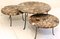 Petrified Wood and Wrought Iron Coffee Tables, Set of 4 2