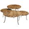 Petrified Wood and Wrought Iron Coffee Tables, Set of 4 1