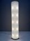 Pirellone Floor Lamp by Gio Ponti for Fontana Arte, 1967 2