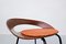 Pa1 Chair by Luciano Nustrini, 1957, Image 9