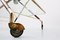 Italian Glass and Brass Trolley by Cesare Lacca, 1950s 5