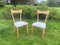 Chairs by Ico Parisi for Ariberto Colombo, 1950s, Set of 2 1